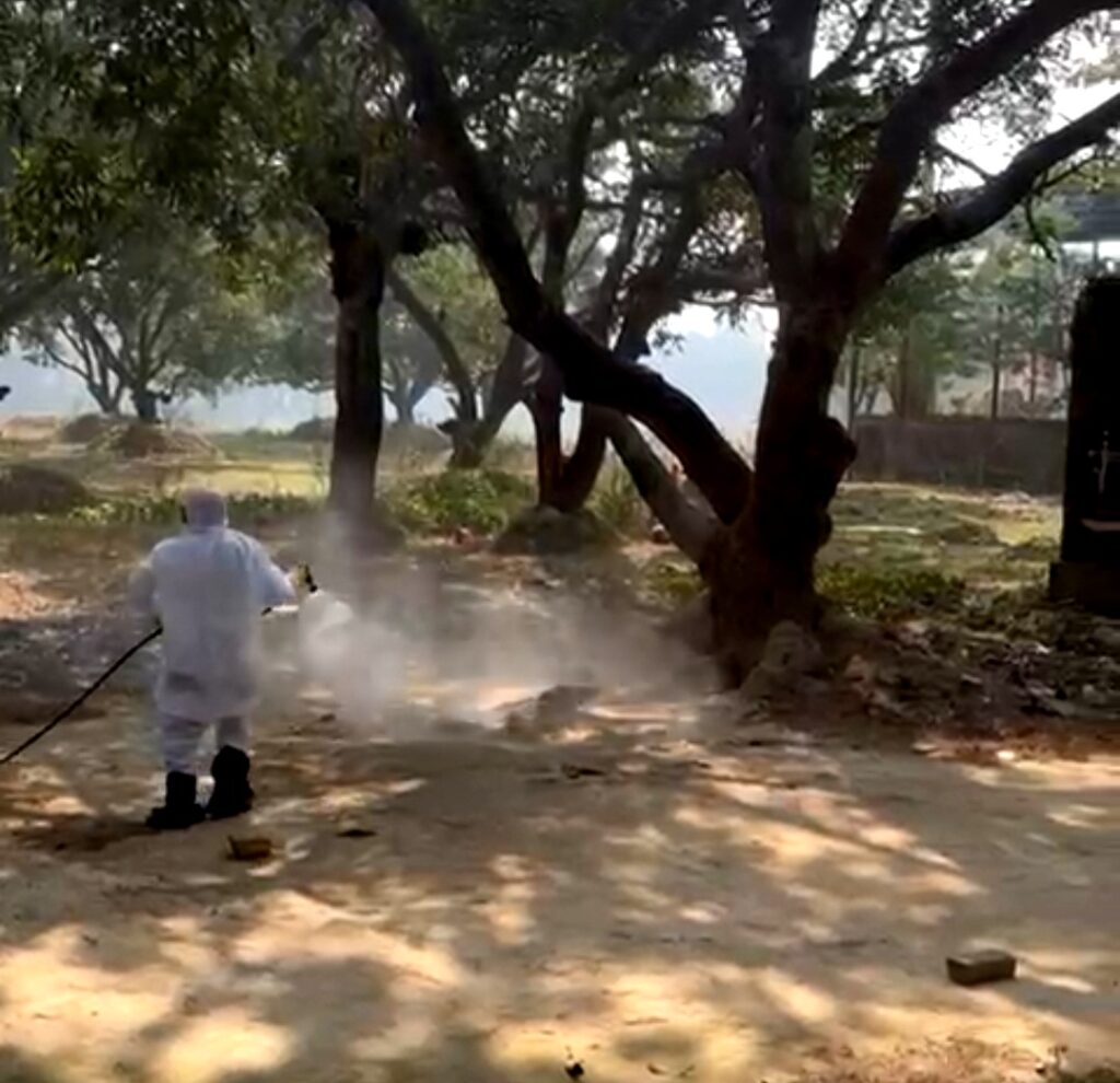 दरभंगा के वार्ड 31 में हजारों कौवों की मौत से प्रशासन सतर्क दरभंगा के वार्ड 31 में हजारों कौवों की मौत से प्रशासन सतर्क