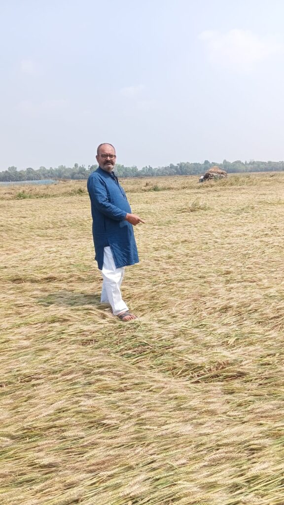 फसल बर्बादी से किसान बेहाल, मुआवजे की मांग तेज फसल बर्बादी से किसान बेहाल, मुआवजे की मांग तेज