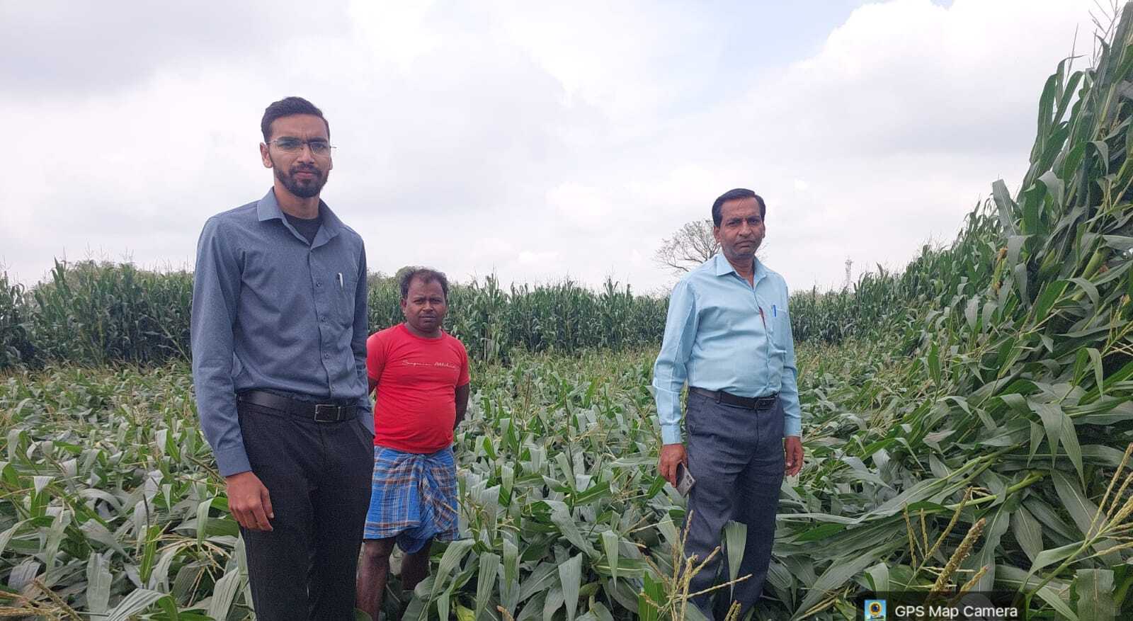 बेमौसम बरसात एवं आंधी में नुकसान हुई फसल का कृषि पदाधिकारी ने लिया जायजा बेमौसम बरसात एवं आंधी में नुकसान हुई फसल का कृषि पदाधिकारी ने लिया जायजा