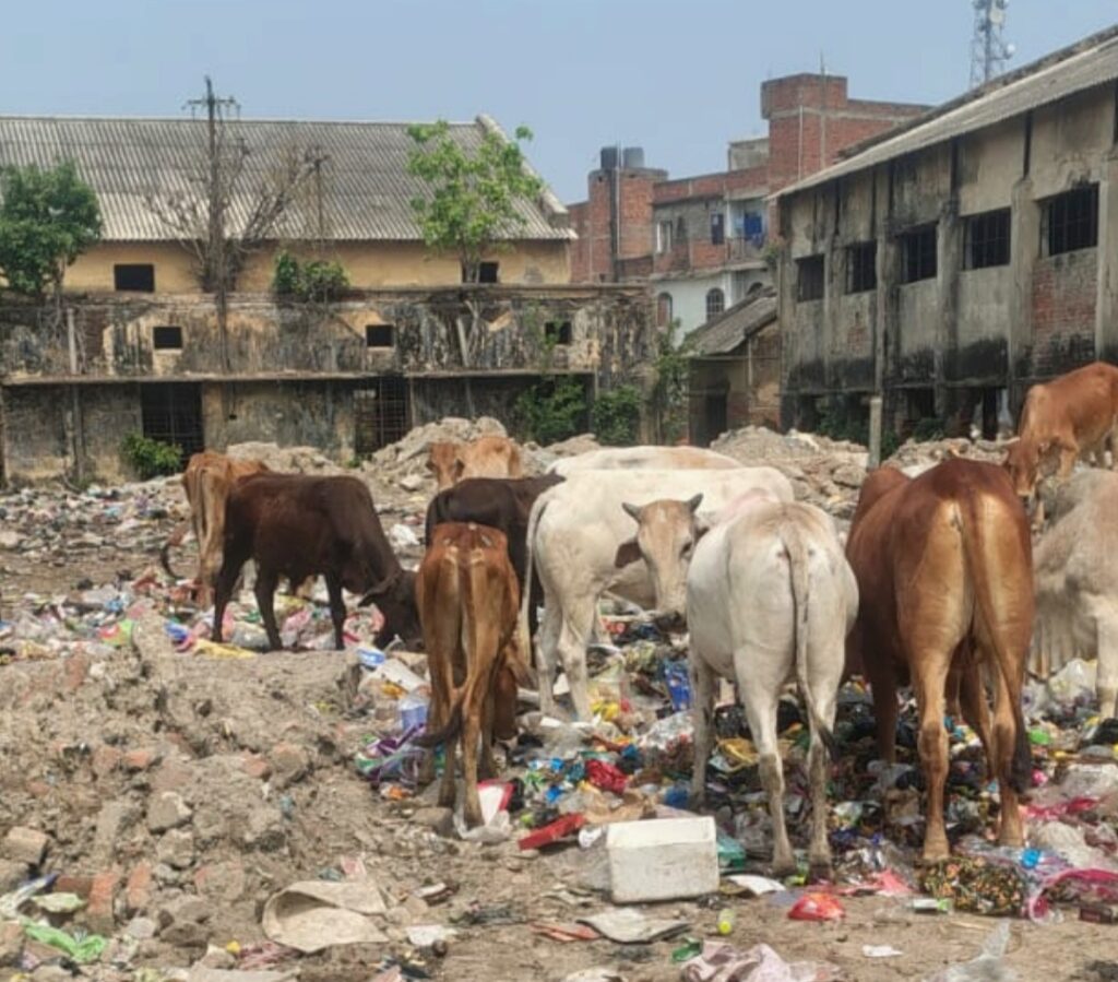 मदारपुर का टेराकोटा भवन बना खंडहर, स्थानीय लोगों ने उठाई आवाज
