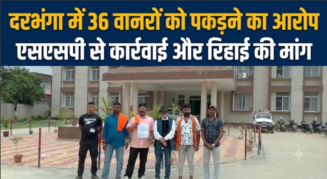 दरभंगा में 36 वानरों को पकड़ने का आरोप एसएसपी से कार्रवाई और रिहाई की मांग दरभंगा में 36 वानरों को पकड़ने का आरोप एसएसपी से कार्रवाई और रिहाई की मांग