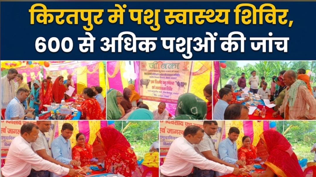 किरतपुर में पशु स्वास्थ्य शिविर, 600 से अधिक पशुओं की जांच