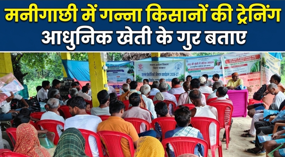 मनीगाछी में गन्ना किसानों की ट्रेनिंग, आधुनिक खेती के गुर बताए मनीगाछी में गन्ना किसानों की ट्रेनिंग, आधुनिक खेती के गुर बताए