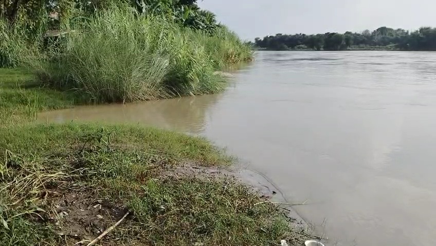 कोसी का जलस्तर घटा निचले इलाकों में अब भी पानी कोसी का जलस्तर घटा निचले इलाकों में अब भी पानी