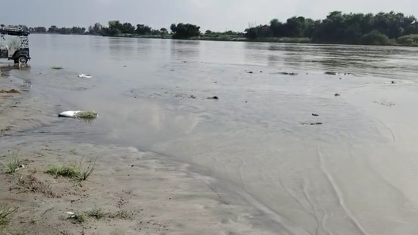 कोसी का जलस्तर घटा निचले इलाकों में अब भी पानी कोसी का जलस्तर घटा निचले इलाकों में अब भी पानी